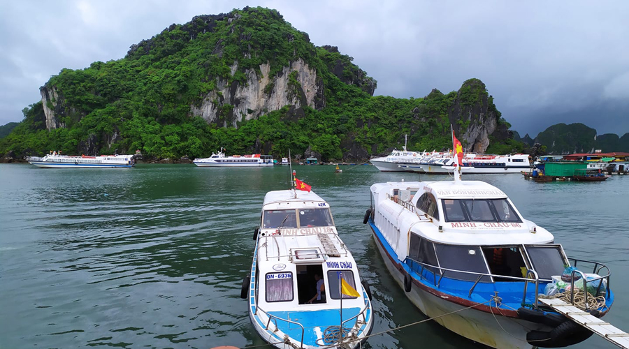 Tàu cao tốc cảng cái rồng