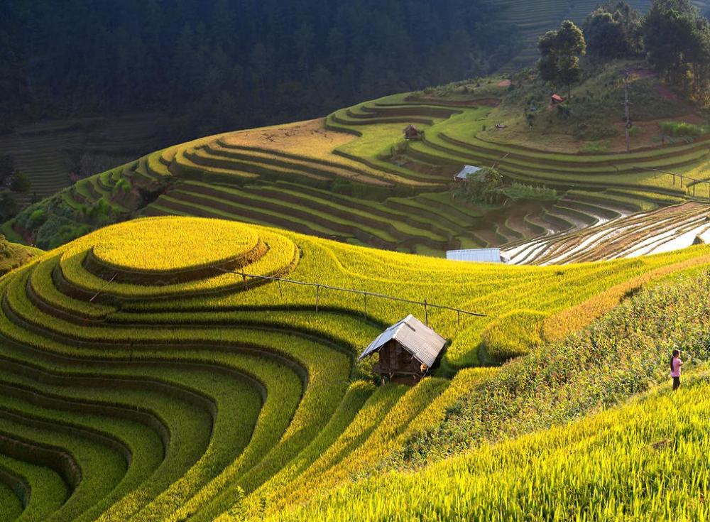 Du Lịch Hà Giang