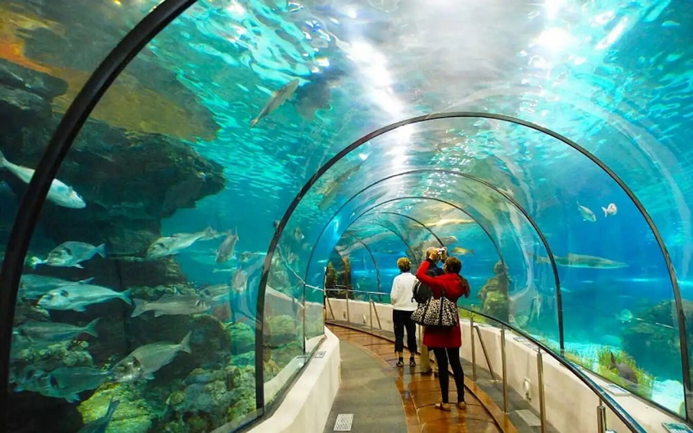 Kdl Suối Tiên
